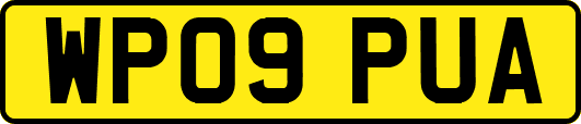 WP09PUA