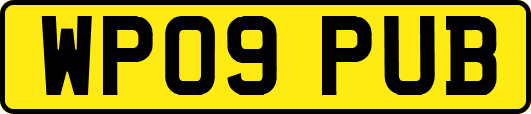 WP09PUB
