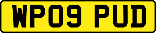 WP09PUD