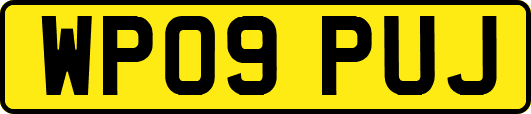 WP09PUJ