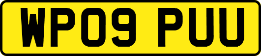 WP09PUU