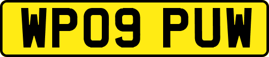 WP09PUW