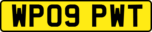 WP09PWT