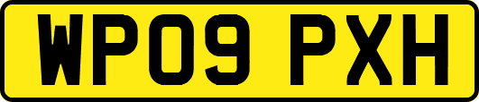 WP09PXH