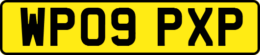 WP09PXP