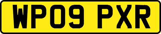 WP09PXR