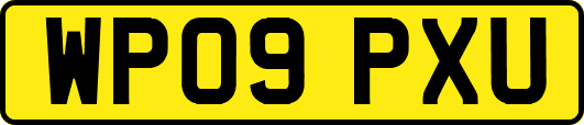 WP09PXU
