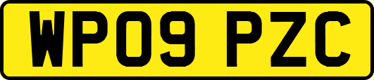 WP09PZC