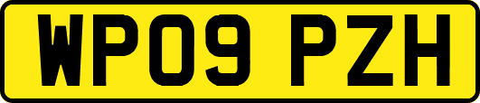 WP09PZH