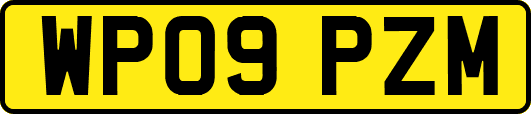 WP09PZM
