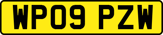 WP09PZW