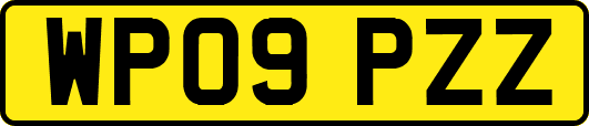 WP09PZZ