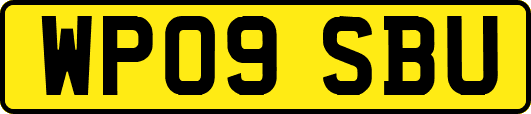 WP09SBU