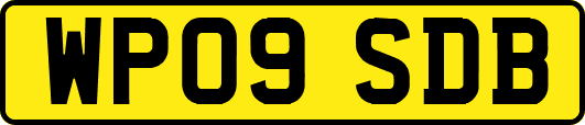 WP09SDB