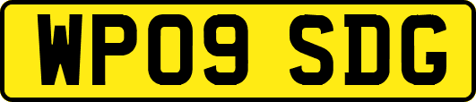 WP09SDG