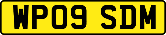 WP09SDM