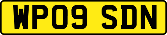 WP09SDN