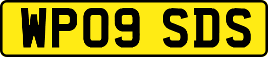 WP09SDS