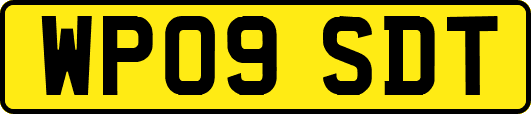 WP09SDT