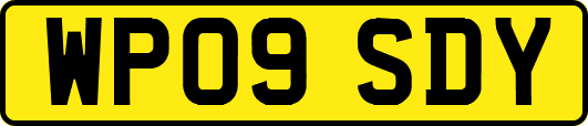 WP09SDY