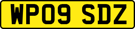 WP09SDZ
