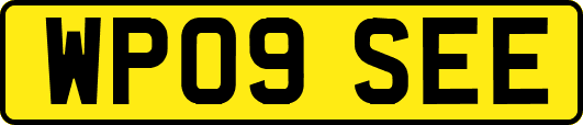 WP09SEE