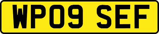 WP09SEF