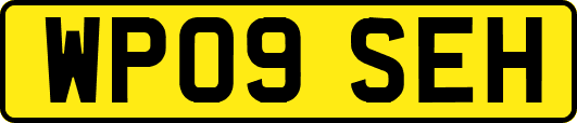 WP09SEH