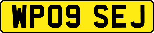 WP09SEJ