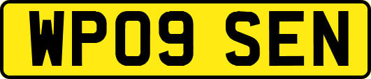 WP09SEN