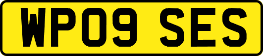 WP09SES
