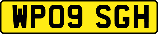 WP09SGH