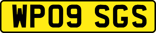 WP09SGS