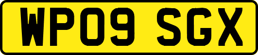 WP09SGX