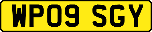 WP09SGY