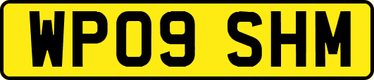 WP09SHM