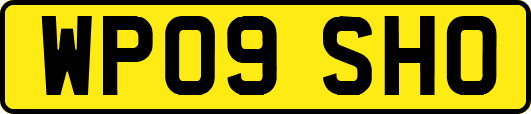 WP09SHO