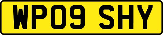 WP09SHY