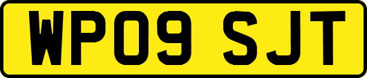 WP09SJT