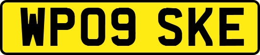 WP09SKE