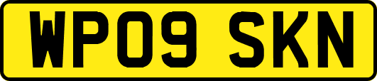 WP09SKN