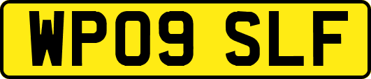 WP09SLF