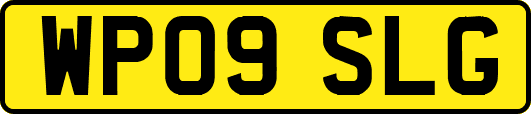 WP09SLG