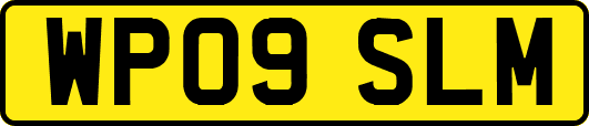 WP09SLM