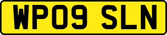 WP09SLN