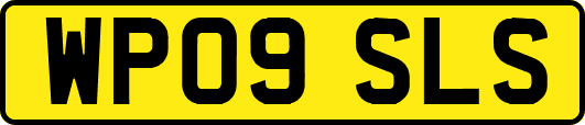 WP09SLS