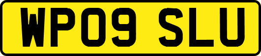 WP09SLU