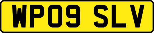 WP09SLV
