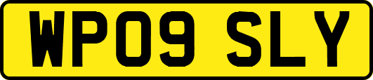 WP09SLY