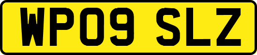WP09SLZ